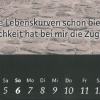 Blickfänge 2012, Zitat Georg Paulmichl, Mai