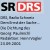 Die Dichtung des Georg Paulmichl, Radio