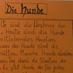 Die Hunde - ein Gedicht von Georg Paulmichl