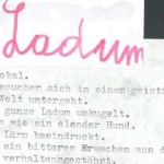 Ladum - ein Text von Georg Paulmichl